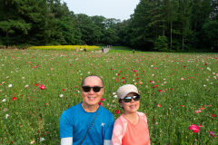 Farm Tomita, Nakafurano