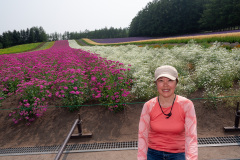 Farm Tomita, Nakafurano