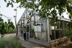 Farm Tomita, Nakafurano