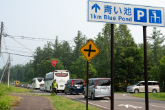 Biei, Shirogane Blue Pond (Aoiike), 白金青い池