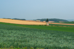 Biei, Patchwork Road (Biei)