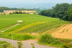 Biei, Hokusei-no-oka Observatory Park