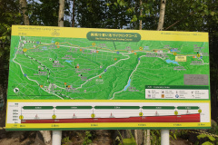 Biei, Shirogane Blue Pond (Aoiike), 白金青い池