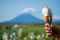 Lake Hill Farm, Toyako