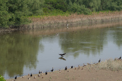 Hong Kong Wetland Park, Tin Shui Wai