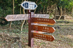 Tai Tong, Yuen Long