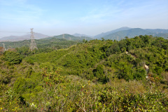Maclehose Trail Sec. 10, Tai Tong, Yuen Long