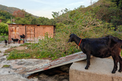 Maclehose Trail Sec. 10, So Kwun Wat, Tuen Mun