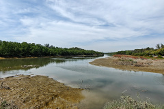 Kam Tin River, Yuen Long