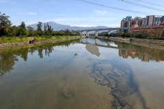 Kam Tin River, Yuen Long