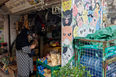 Kam Tin Mural Village, Yuen Long