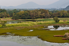 Hong Kong Wetland Park, Tin Shui Wai