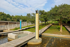 Hong Kong Wetland Park, Tin Shui Wai