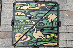 Hong Kong Wetland Park, Tin Shui Wai