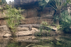 Hong Kong Wetland Park, Tin Shui Wai