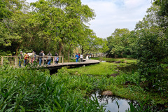 Hong Kong Wetland Park, Tin Shui Wai