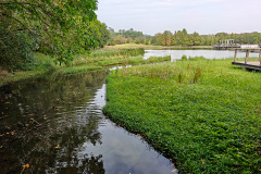 Hong Kong Wetland Park, Tin Shui Wai