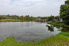 Hong Kong Wetland Park, Tin Shui Wai
