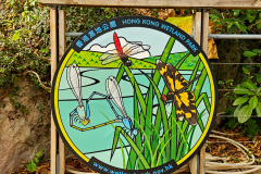 Hong Kong Wetland Park, Tin Shui Wai