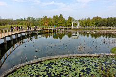 Hong Kong Wetland Park, Tin Shui Wai