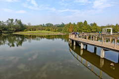 Hong Kong Wetland Park, Tin Shui Wai