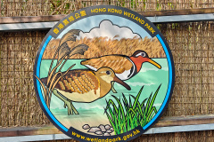 Hong Kong Wetland Park, Tin Shui Wai