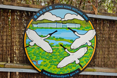 Hong Kong Wetland Park, Tin Shui Wai