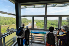 Hong Kong Wetland Park, Tin Shui Wai
