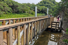 Hong Kong Wetland Park, Tin Shui Wai