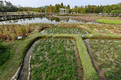 Hong Kong Wetland Park, Tin Shui Wai