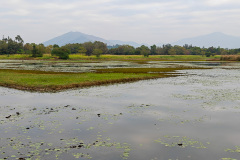Hong Kong Wetland Park, Tin Shui Wai