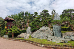 Diamond Hill, Nan Lian Garden, 南蓮園池