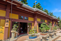 Diamond Hill, Nan Lian Garden, 南蓮園池