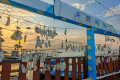Lau Fau Shan, Tuen Mun, 流浮山蠔薈碼頭廣場