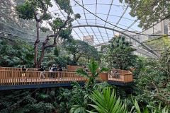 Central, Edward Youde Aviary, Hong Kong Park