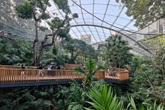 Central, Edward Youde Aviary, Hong Kong Park