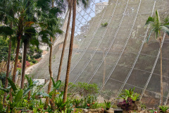 Central, Edward Youde Aviary, Hong Kong Park