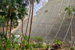 Central, Edward Youde Aviary, Hong Kong Park