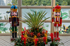 Central, Forsgate Conservatory, Hong Kong Park