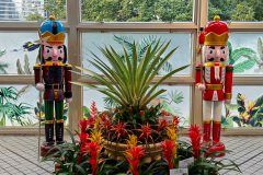 Central, Forsgate Conservatory, Hong Kong Park