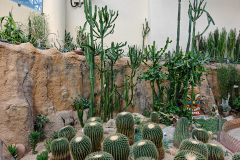 Central, Forsgate Conservatory, Hong Kong Park