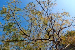 Tai Tam, Tai Tam Country Park