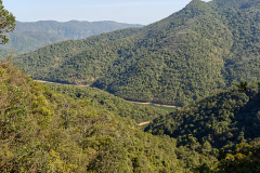 Tai Tam, Tai Tam Country Park, Tai Tam Reservoir
