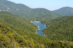 Tai Tam, Tai Tam Country Park, Tai Tam Reservoir