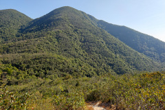 Tai Tam, Tai Tam Country Park