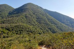 Tai Tam Country Park