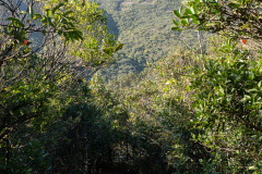 097-_B309746