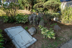 118-_D201237
