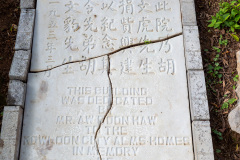 119-_D201238