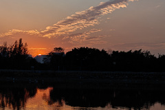 Kam Tin River, Yuen Long